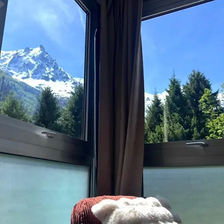 Vue Mont-blanc Garage Privé Centre à Pied Appartement