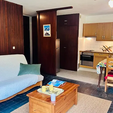 Vue Mont-blanc Garage Privé Centre à Pied Appartement